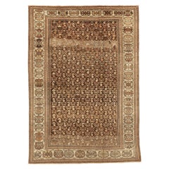 Persian Bakhtiari Small Rug - Wool Brown Ivory Design - 75508