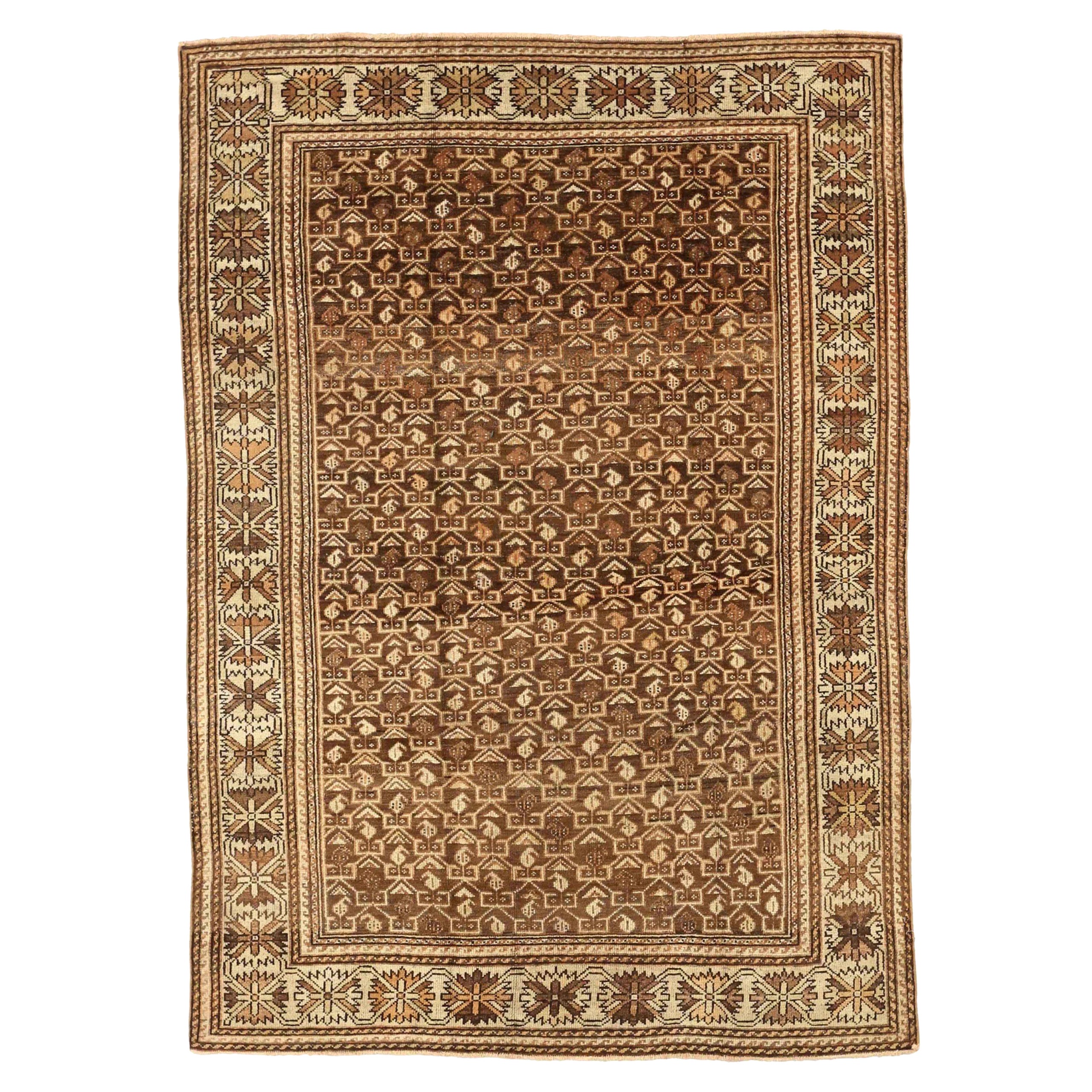 Persian Bakhtiari Small Rug - Wool Brown Ivory Design - 75656