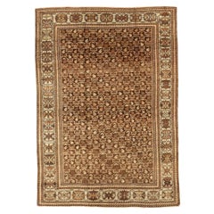 Persian Bakhtiari Small Rug - Wool Brown Ivory Design - 75656