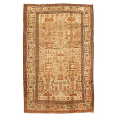 Tapis persan Bijar Small - Laine Brown Ivory Red Design - 75640
