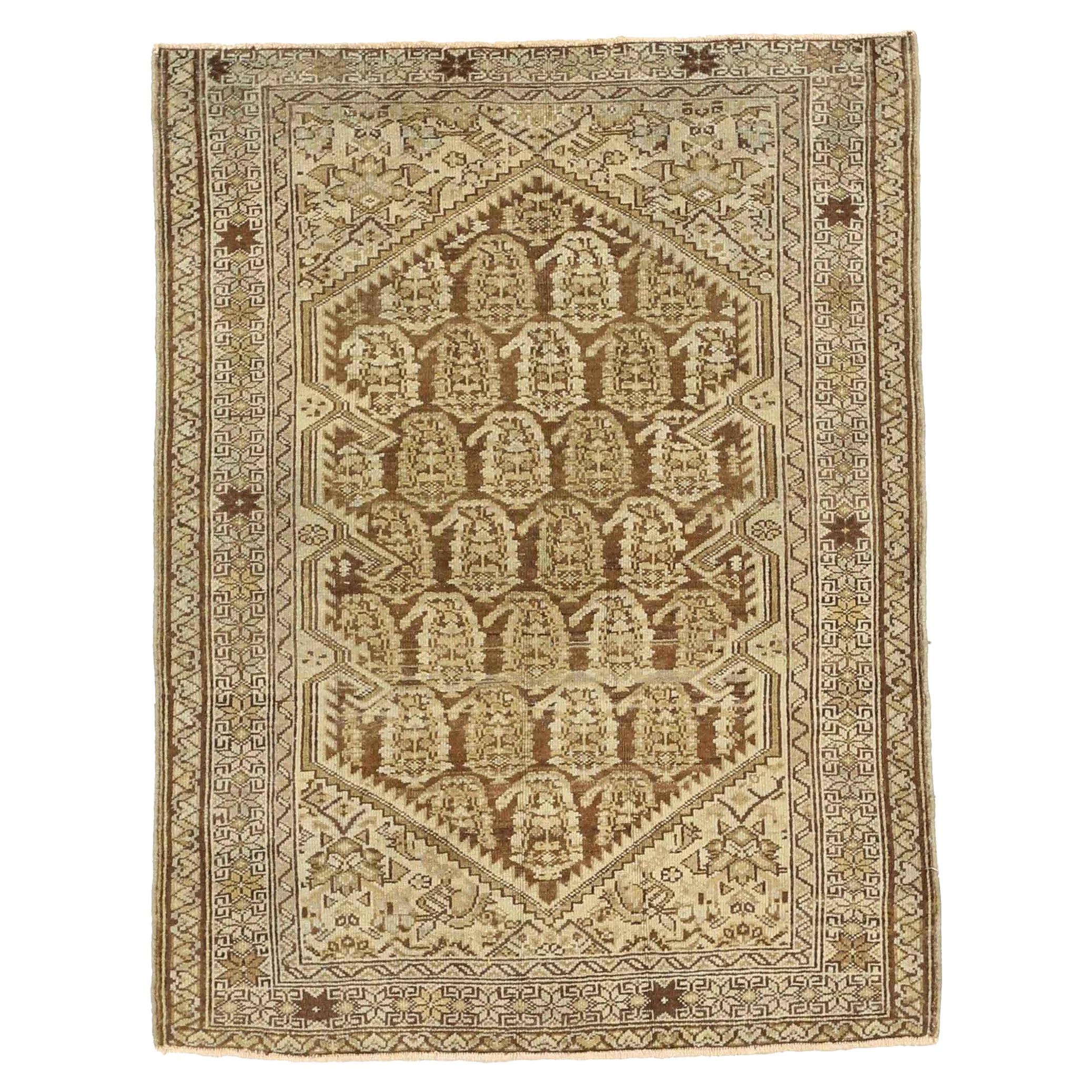 Alfombra Persa Malayer Small Design - Lana Marrón Marfil - 75674 en venta