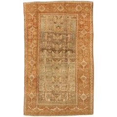 Tapis persan Bijar Small - Laine Brown Ivory Pink Design - 75722