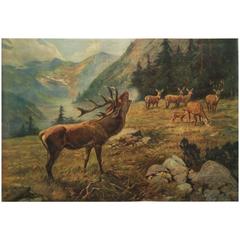 Antique German School, Teaching Chart, Poster "Deers" 7