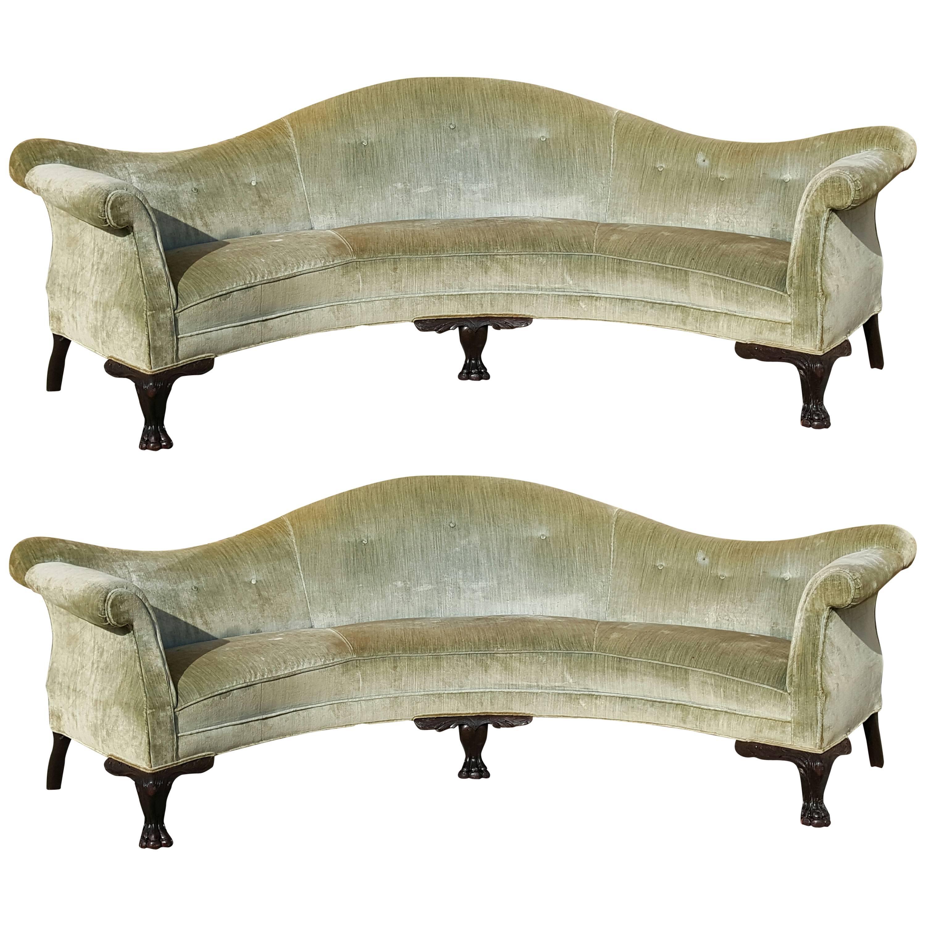 Matching Pair of Unusual, Monumental Queen Anne Curved Sofas