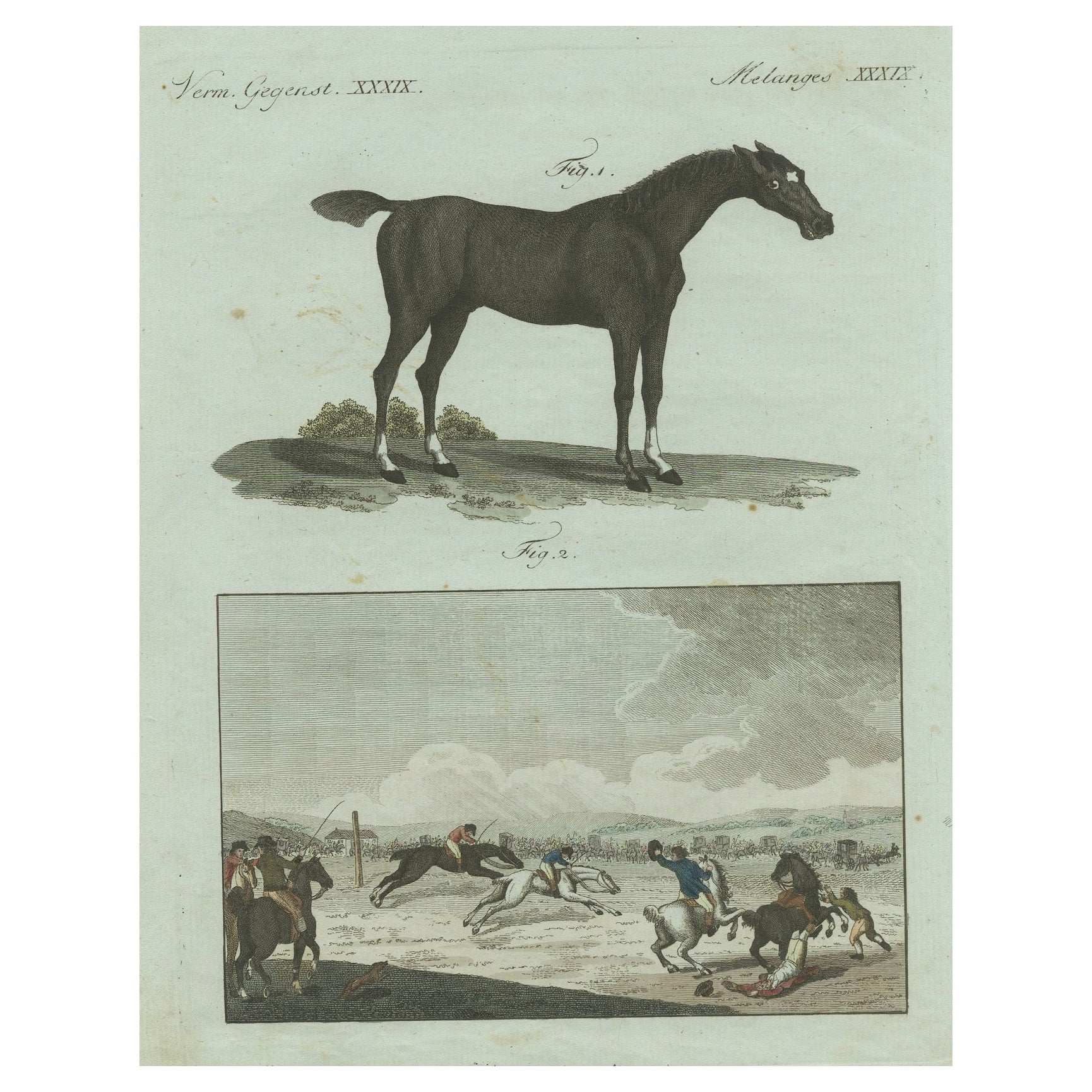 1802 Hand-Colored Print of English Racing Horse and Race Track Scene