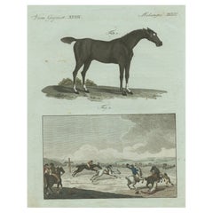 1802 Handkolorierter Druck von englischem Rennpferd und Renn- und Renn- Track-Szene