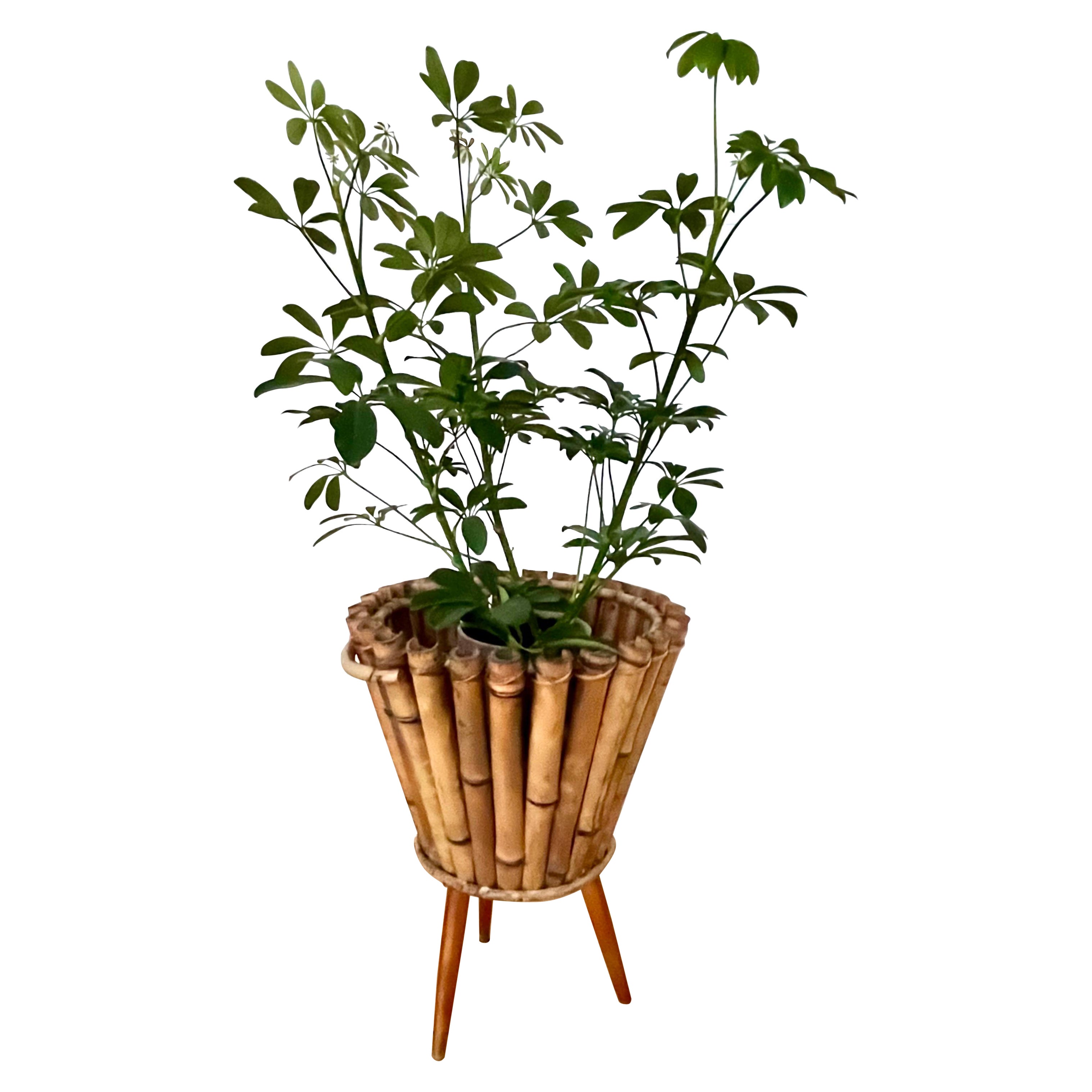Tall Mid-Century Swedish Handmade Bamboo and Teak Tri-Pod Plant Stand, 1940s