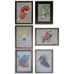 Vintage Six Framed Parrots Embroidered on Belgian Linen