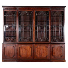 Monumentaler irischer georgianischer Bücherschrank aus ebonisiertem Mahagoni und Astral mit Glasfront