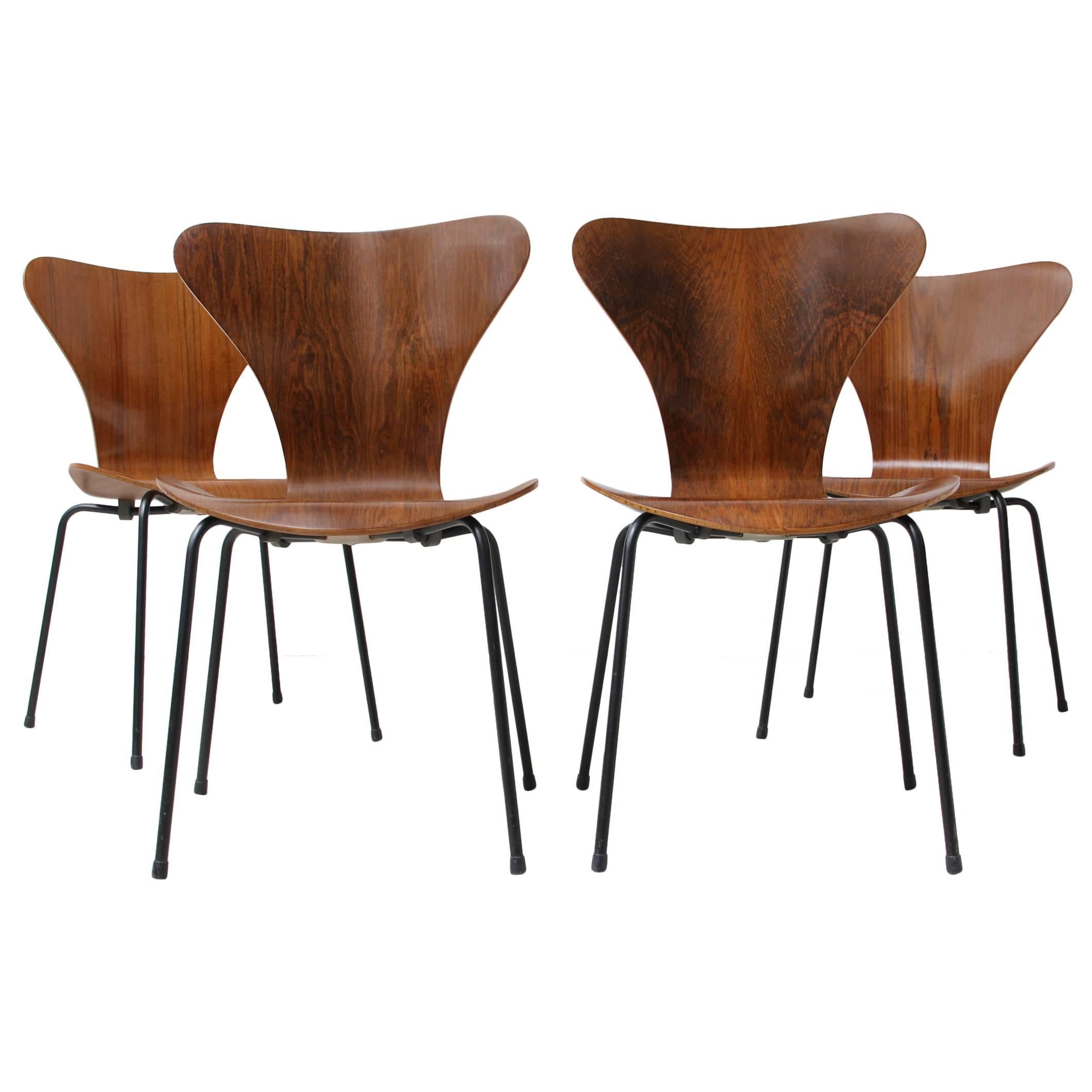 Set of Four "Series 7" Rosewood Chairs by Arne Jacobsen for Probjeto, 1970