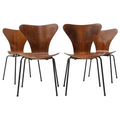Set of Four "Series 7" Rosewood Chairs by Arne Jacobsen for Probjeto, 1970