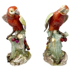 Coppia di statue di pappagalli multicolore in porcellana continentale del XIX secolo.