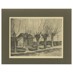 Vincent van Gogh - Salici di Pollard - Stampa portfolio del 1928 del periodo olandese