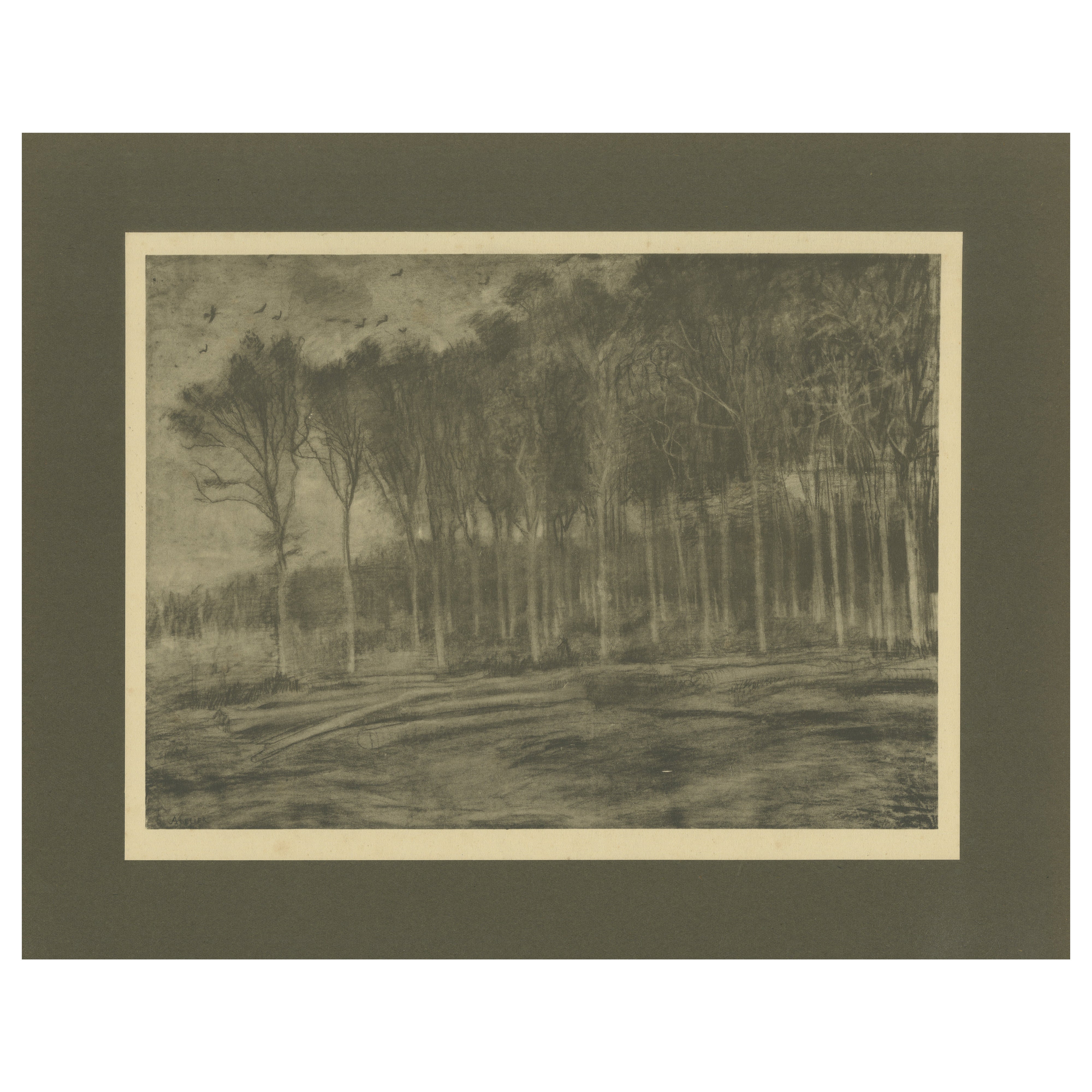 Vincent van Gogh - La linde del bosque - 1928 Impresión de cartera del periodo holandés