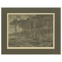 Vincent van Gogh - La linde del bosque - 1928 Impresión de cartera del periodo holandés