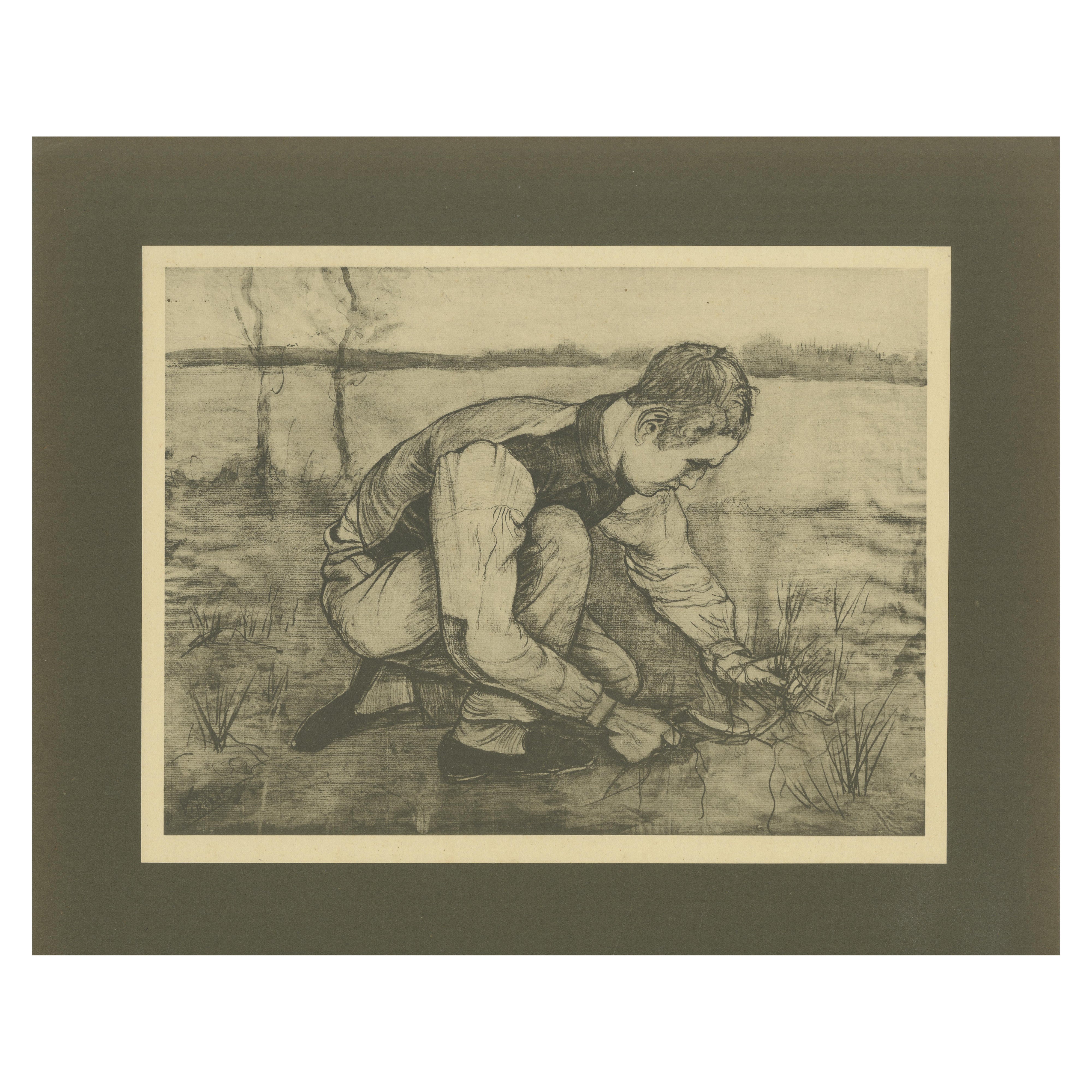 Vincent van Gogh - Joven campesino cortando hierba - 1928 Portfolio Print