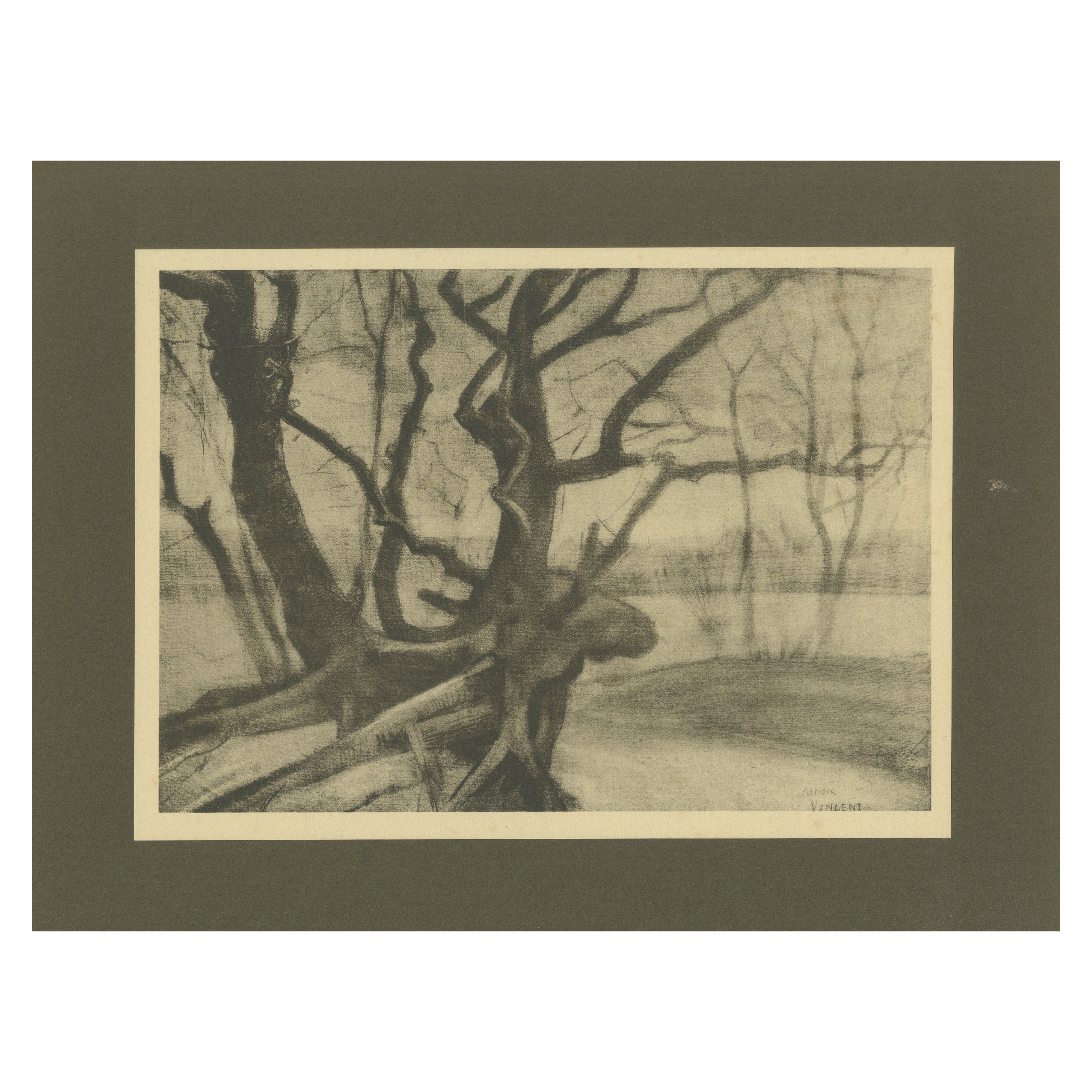 Vincent van Gogh - Raíces de árbol en invierno - 1928 Portfolio Print