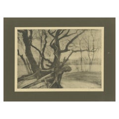 Vincent van Gogh - Raíces de árbol en invierno - 1928 Portfolio Print