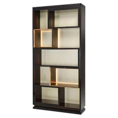Special Price Bookshelf Structure  Wood Ebony Veneered  Strip Led