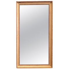 19th century French split plate giltwood mirror