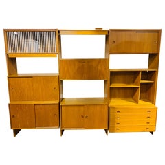 Mid-Century Danish Modern Teak Wall Unit