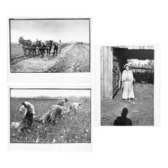 Walker Evans & Martin J. Dale Photographs, 3