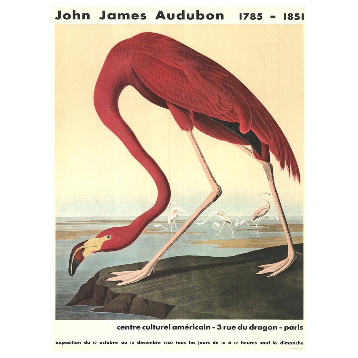 1960 John James Audubon - Flamenco americano Póster original de época en venta