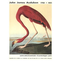1960 John James Audubon - Flamenco americano Póster original de época