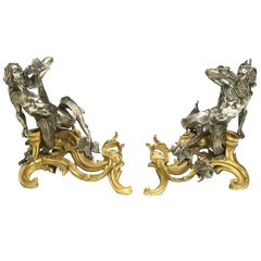 Pair of French 19th Century Louis XV Style Gilt and Silvered Bronze Chenets