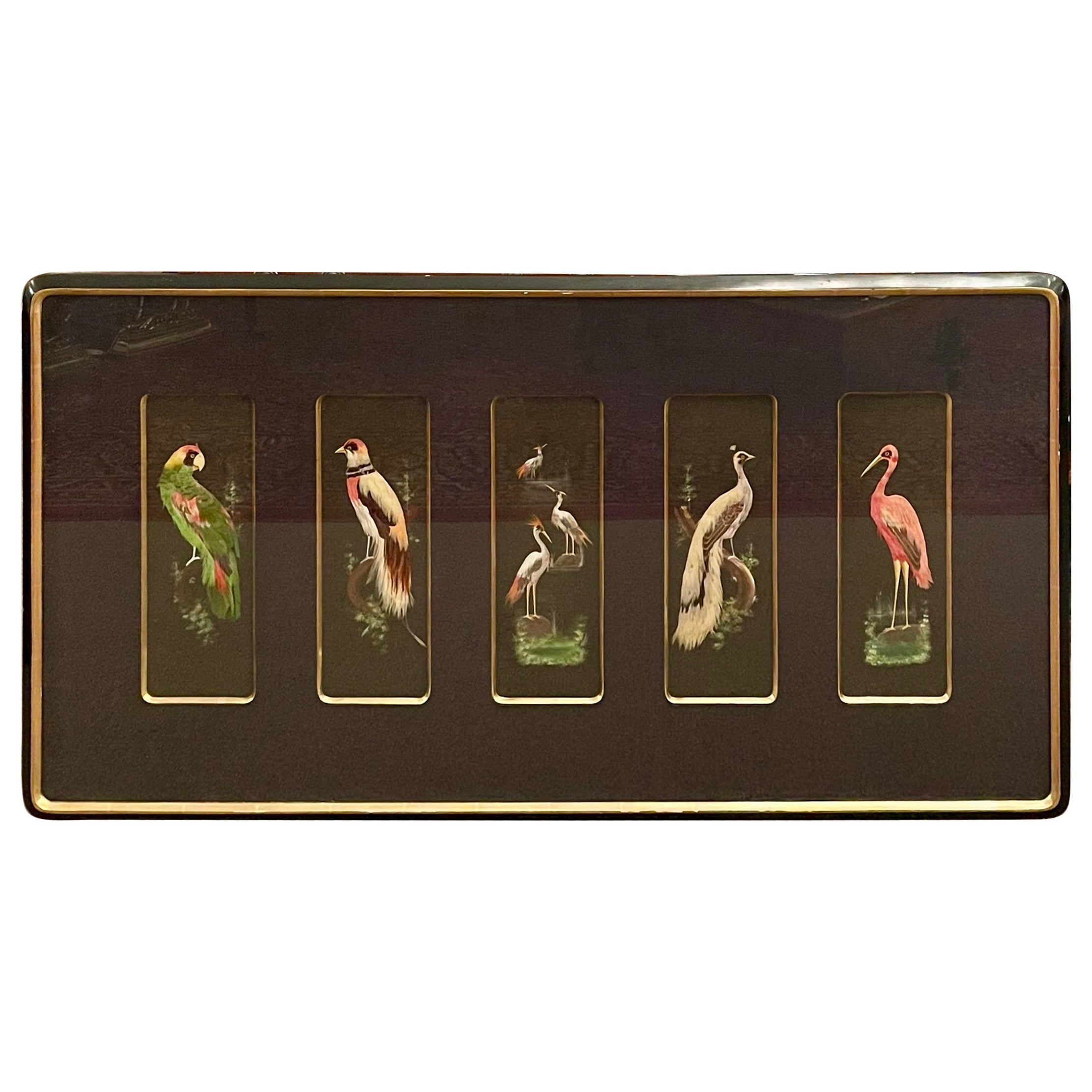 Hand-Made American Matted Collection of Feathers of South Florida Birds in Frame