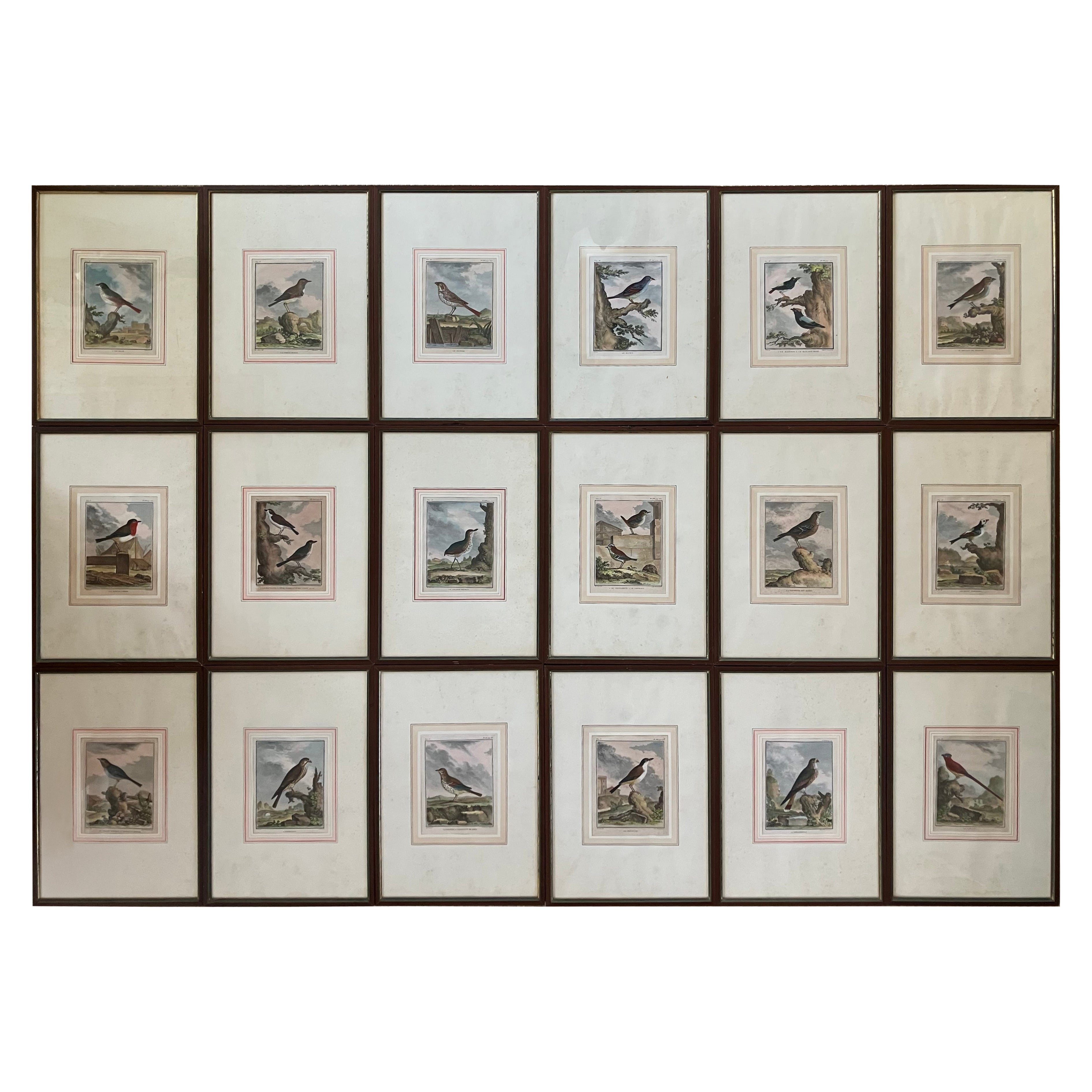 Set of 18 Hand Coloured Bird Engravings