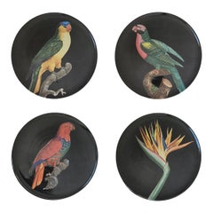 Plato llano de porcelana The Black Collection - Mix Set de 4