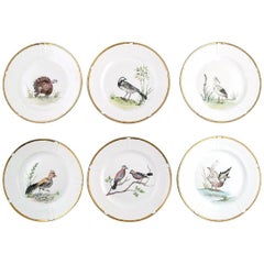 Six B&G, Bing & Grondahl Hand-Painted Plates with Bird Motifs, circa 1934
