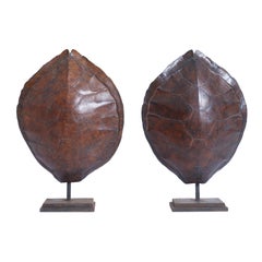 Paire de lampes de bureau écaille de tortue
