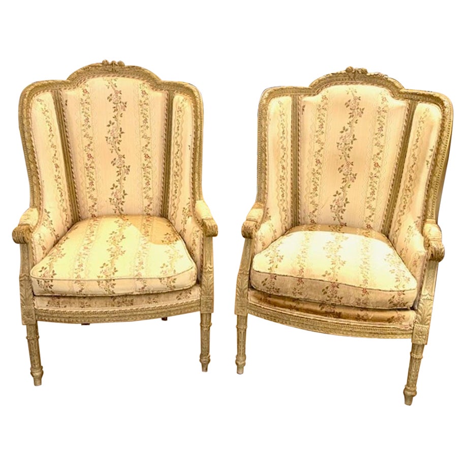 Pair of 19th Century French Carved and Painted Louis XVI Bergeres