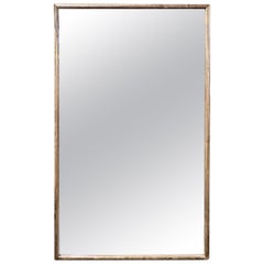 19th Century French Silver Leaf Louis Philippe Transitional Mirror
