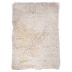 European, Hand Knotted Rug