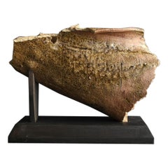 Frammenti di ceramica antica giapponese/12° - 13° secolo/Vaso a fiore