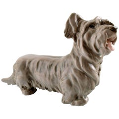 Bing & Grondahl Dog B&G, Number 2130 Skye Terrier Standing, Light Model