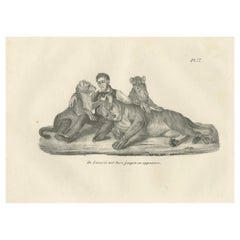19th-Century Lithograph of a Lioness, Her Cubs, and Their Caretaker
