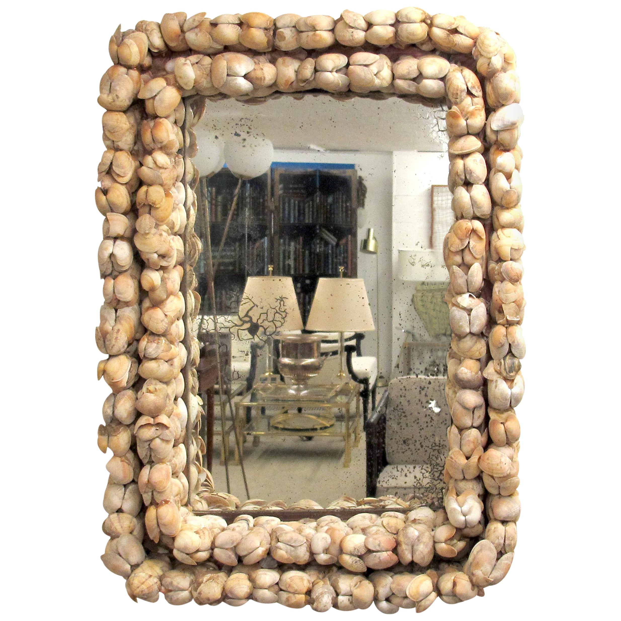 Mid-Century French Handcrafted Clam Seashell Mirror