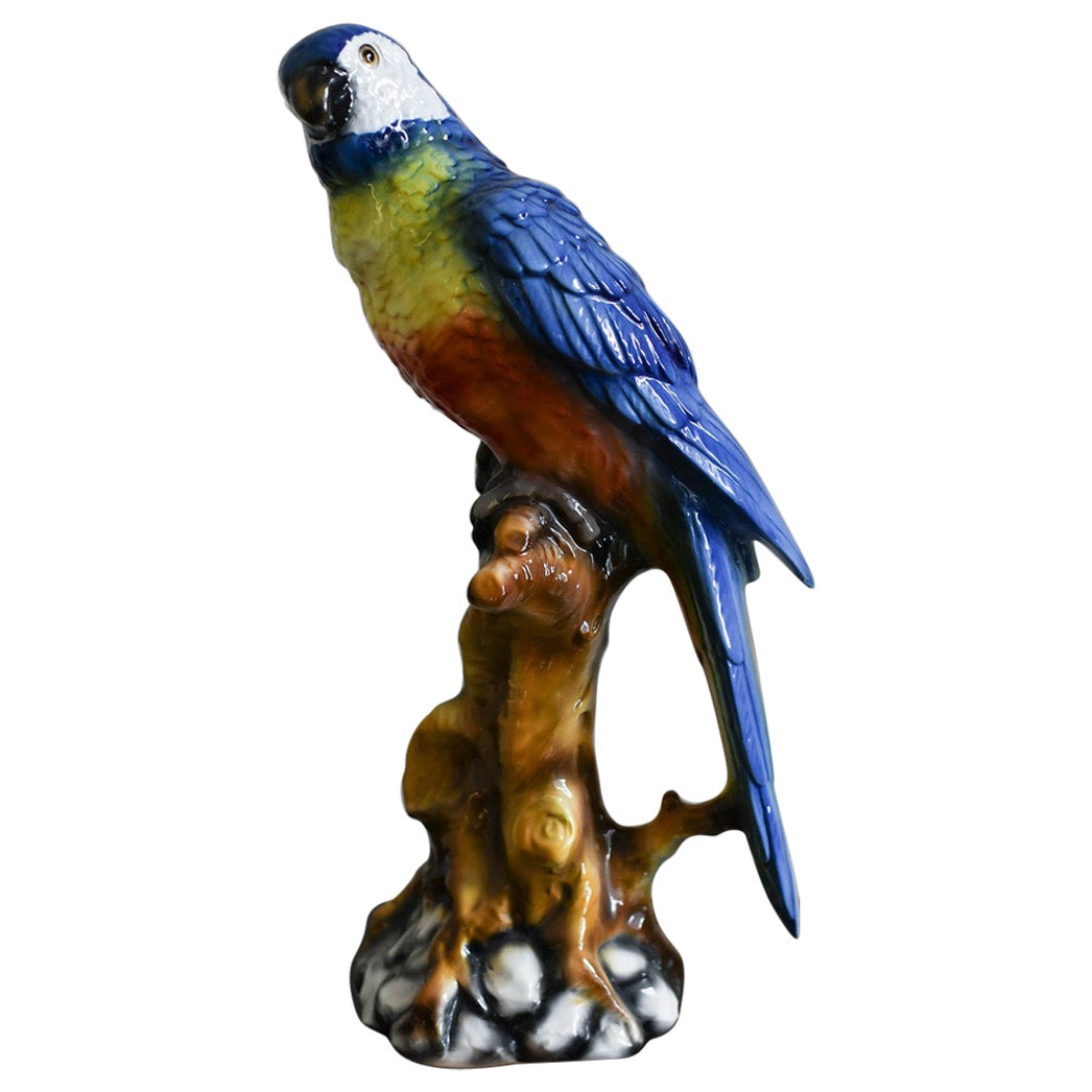 Perroquet en céramique de Ceramiche Boxer, Bassano Del Grappa