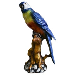 Ceramic Parrot by Ceramiche Boxer, Bassano Del Grappa
