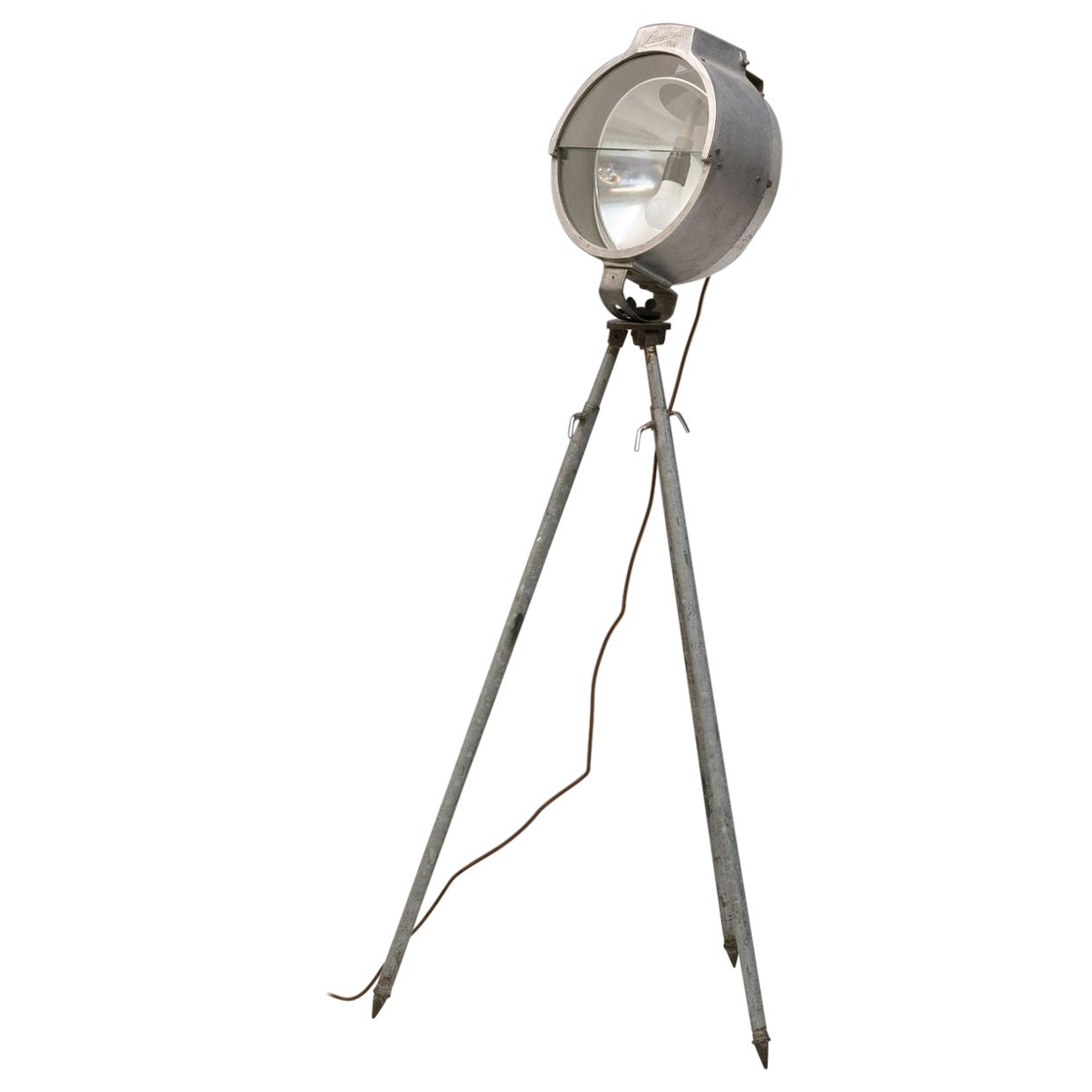 Britisches Bullfinch-Floodlight
