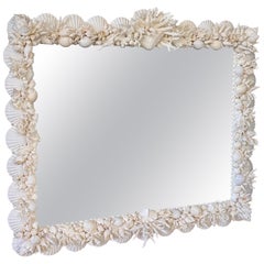 Coastal Regency Monumental Sculptural Custom Made Seashell and Coral Mirror (Miroir corail et coquillages)
