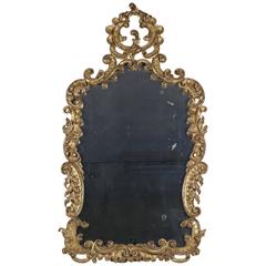 Louis XV Style Gold Giltwood and Gesso Mirror from the 19th Century