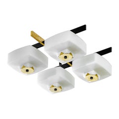 20th Century, Arredoluce Ceiling Light 1960