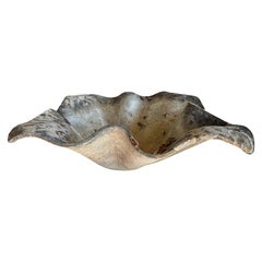 Willy Guhl Elephant Ear Hankechief Planter with great patina