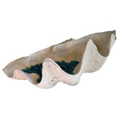 Giant Clam Shell with Glass Beads