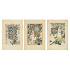 La Flore Décorative The Art Nouveau Celebration of Nature and Ornament in 1896